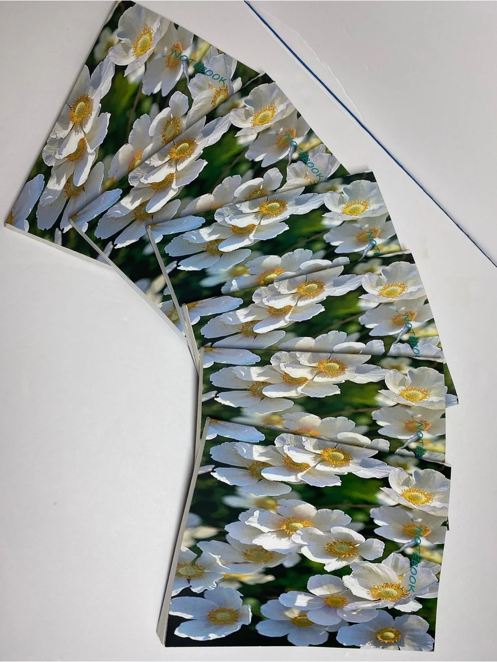 Lot of 6 Floral Softcover Notebooks White Anemone Flower Composition Journals